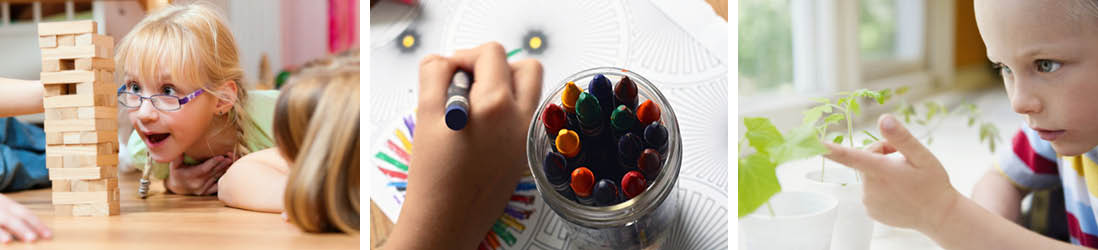 Bestellung vom Sächsischen Entwicklungsbaum